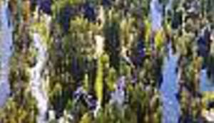 OPSUJTE S NAMA: Pogledajte kako izgleda latvijski raj