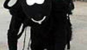 RECEPT: Kako su ubili Crnu ovcu