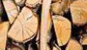 ŠALJIVO&ZABAVNO: Lički dnevnik