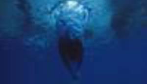 ISTA KA BABA: Zviri ne cmizdre