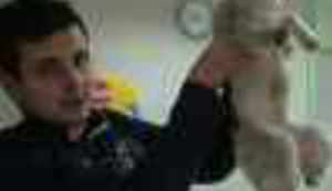 MONSTRUMI MEĐU NAMA: Pogledajte što su sve ljudi spremni učiniti psu