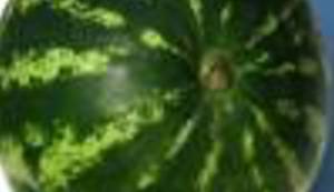 Amerikanac u Sarajevu by Boris Dežulović