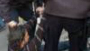 VIDEO: Kako se hrvatska policija nosi s građanskim neposluhom