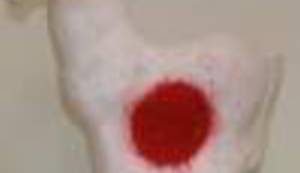 HRVATSKI UMJETNICI ZA JAPAN: Svi mi dijelimo život na ovoj zemlji i svi smo jedni drugima bliski samo ako to želimo biti