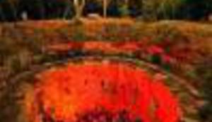 SIRUP NATION: Lupiga vas vodi na Fort Punta Christo