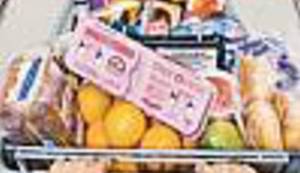 BILJEŽNICA ROBIJA K.: Najn ilevn