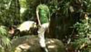 LUPIGA TV: Povratak zelenog raja