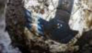 Drama na stadionu Luz u Mionici kraj Gradačca by Boris Dežulović