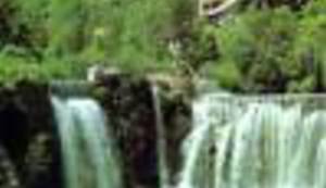 BILJEŽNICA ROBIJA K.: Svečani obid