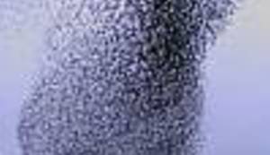 FASCINANTNA MAJKA PRIRODA: Upoznajte čarobni i još uvijek nedovoljno istraženi fenomen