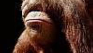 FALSIFICIRANJE POVIJESTI: Ovako se izvještava s koncerta koji nikad nije održan