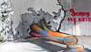 UMJETNOST ULICE: Upoznajte ruskog Banksyja, Pavela Puhova