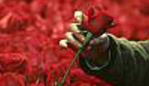 UZ VALENTINOVO: Muškarci, zaboravite macho spike i vaša misija može početi