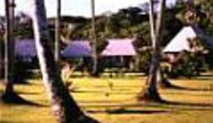 Tko jači, zastavu na kokos kači !