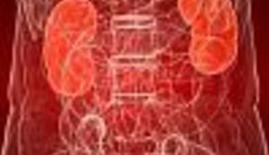 TRŽIŠTE ORGANA:Trebate bubreg? Ne brinite, puni su ih mali oglasnici.