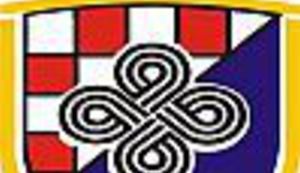 GLUP, GLUPLJI, HČSP: Neoustaše iz HČSP tuguju jer ih Hrvatska ne želi