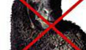 VEDRANA RUDAN: Smrt ovnu!