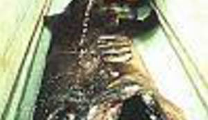 ČUDOVIŠTA IZ MORSKIH DUBINA: Ribe koje ne želite vidjeti na gradelama