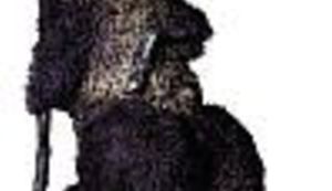 TV RAŠETANJE: Obilje i nasilje