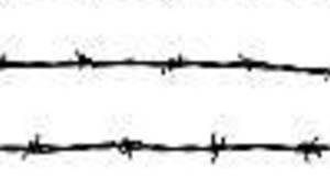 Od Neuma do nedraga by Boris Dežulović