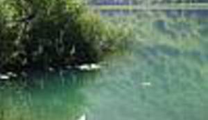 SVAKOG LJETA VALJA SE PODSJETITI NA OVAJ ZELENI SMARAGD: Zlatna ribice odvedi me na Boračko jezero