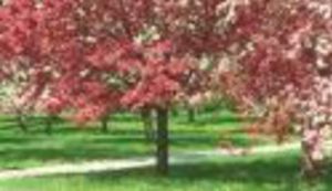 Upoznaj kvart da bi ga više volio