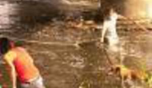 OVAKVIH NAM TREBA VIŠE: Pogledajte kako su mladi junaci spasili gluhog i slijepog psa od sigurne smrti