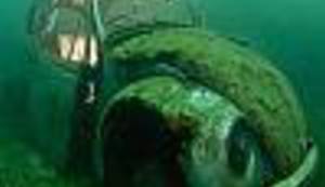 MAJSTOR PODVODNE FOTOGRAFIJE: Pogledajte što se sve krije u morskim dubinama