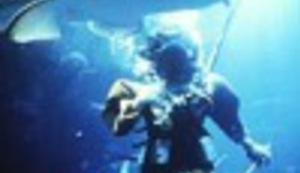 Kupanje s morskim psima