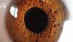 SAMI BIRAJTE TELEVIZIJSKI PROGRAM: Kako je znanost promijenila Svijet