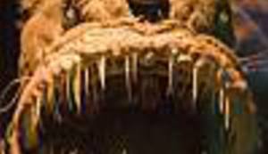 UČIONICE MRŽNJE: Nevjerovatni citati iz školskih udžbenika - ovo uče vašu djecu