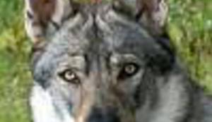 KAKO JE LAKO OSUDITI: 'Odonda je prošlo šezdeset godina, a ja tu sliku ne mogu zaboraviti'