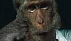 VJEČNE DVOJBE: Zašto ne vjerujemo znanstvenicima?