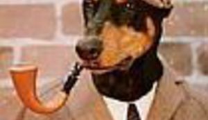 Javite se, javite!!!