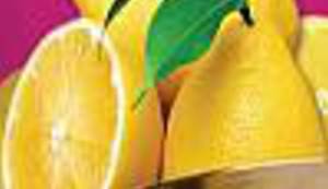 POWERED BY LUPIGA: Ne propustite čaroliju VG Brass Festivala