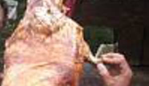 PRVOMAJSKA  BAJKA: Nekad davno, zorom razbuđeni, čekali smo prvomajsku budnicu, koračnicu limenoga orkestra