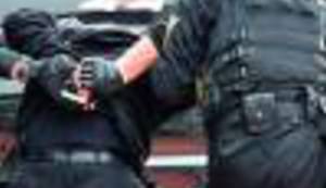 Pomilovanje, ludom radovanje by Boris Dežulović