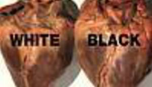 TOLERANCIJA: Hrvatska najtolerantnija, slijede je Slovenija i BiH, Srbija i Makedonija na začelju bivše Jugoslavije