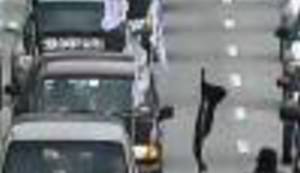 S Nusret-Holidejsom u Siriju by Boris Dežulović