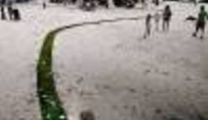 VRTLARSKA GERILA: Pogledajte neobični 'red carpet' zelene boje