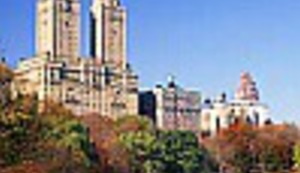 Otkrivena je nova vrsta