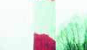 Kemija za svaki dan, odnosno policija o spalionici PUTO