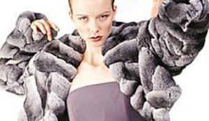 Smrt uzgajivačima - sloboda činčilama