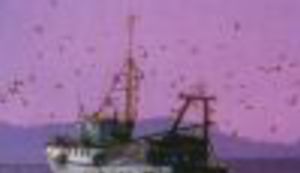 Kapetane, mirno more!