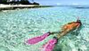 Rješenje slučaja nesretnih ronilaca