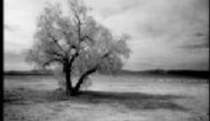 Rat u Iraku i naš dug Mezopotamiji