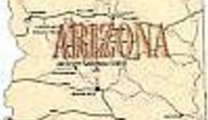 Borba na tržnici Arizona