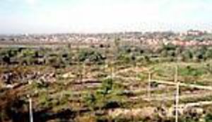 Tjedan dana u Beogradu