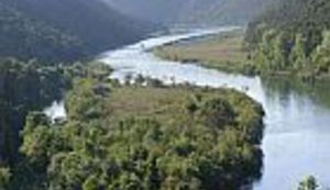 1477 kilometara i još malo