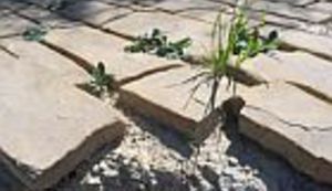 Središtem BiH u jednom dan(h)u